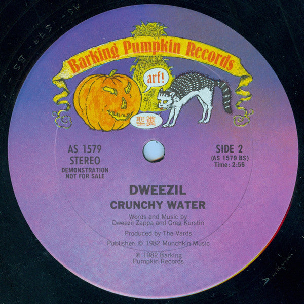 Dweezil Zappa : My Mother Is A Space Cadet (12", Promo)