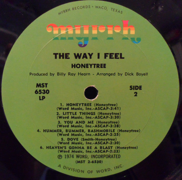 Nancy Honeytree : The Way I Feel (LP, Album, Gre)