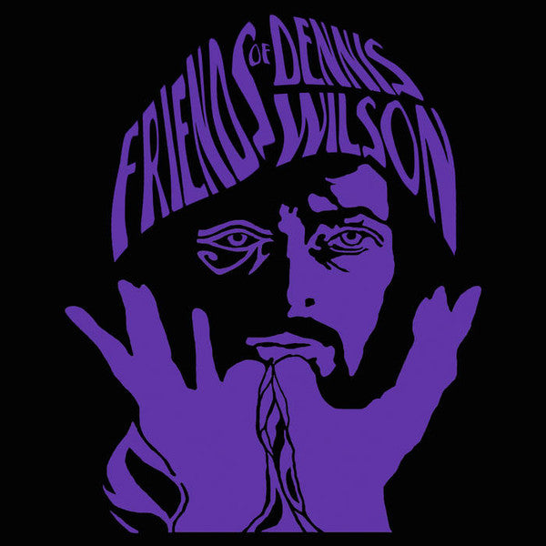 Friends of Dennis Wilson : Space Maintainer (LP, Album)