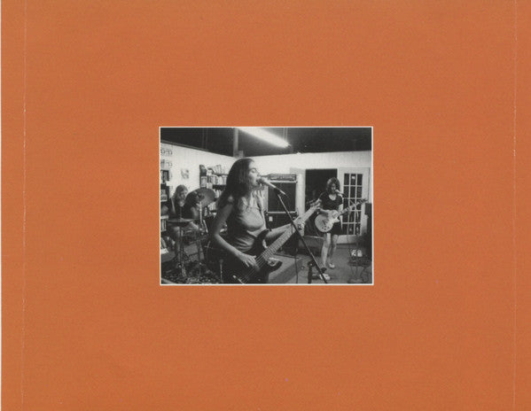 Del Cielo : Wish And Wait (CD, Album)
