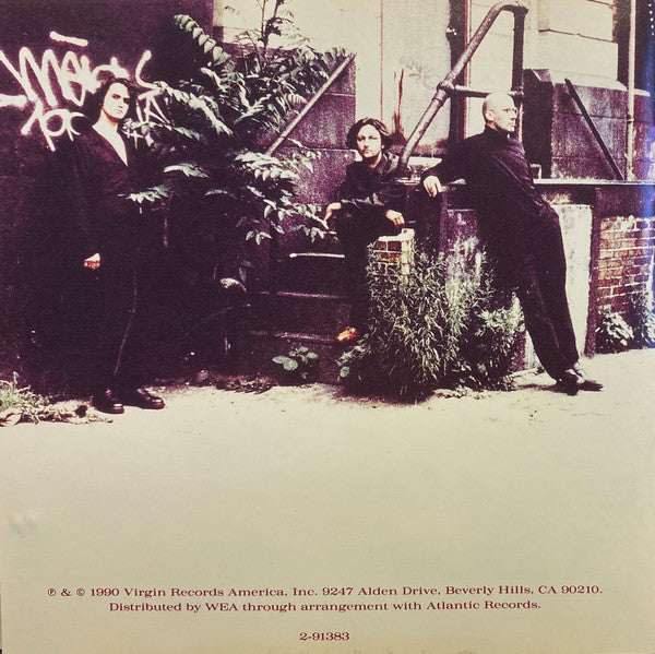 King Swamp : Wiseblood (CD, Album)