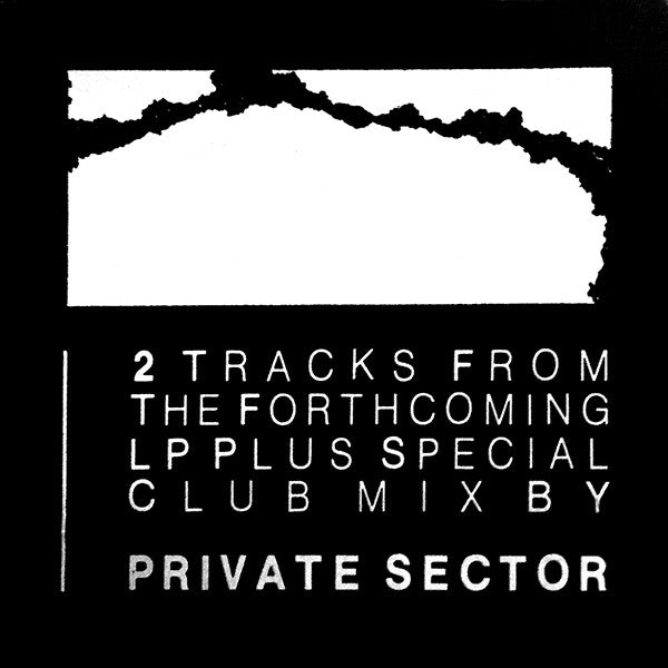 Private Sector : Wish I Could Be As Certain (12")