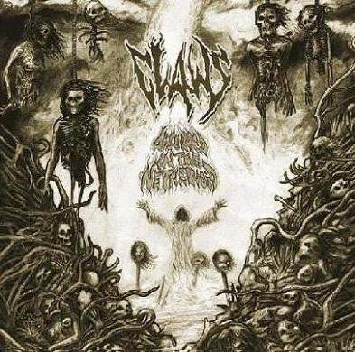 Claws : Absorbed In The Nethervoid (LP, Album)