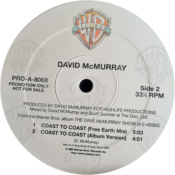 David McMurray : Keep On Rising (12", Promo)