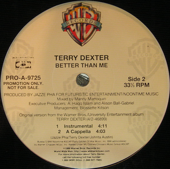 Terry Dexter : Better Than Me (12", Promo)