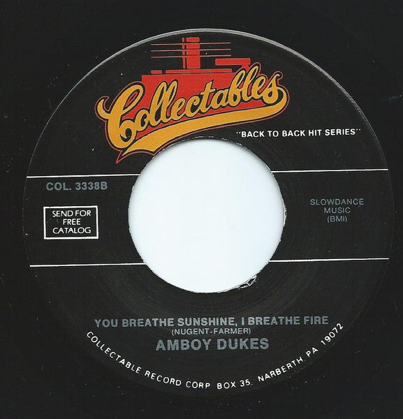 The Amboy Dukes : Journey To The Center Of Your Mind (7")