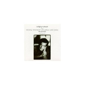 Wolfgang Muthspiel : The Promise (CD, Album)