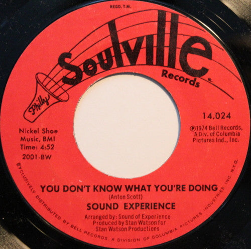 Sound Experience (2) : Don't Fight The Feeling / You Don't Know What You're Doing (7", Styrene, Bes)