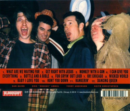 The Yayhoos : Fear Not The Obvious (CD, Album)