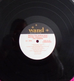 The Pigeons (2) : While The World Was Eating Vanilla Fudge (LP, Album)