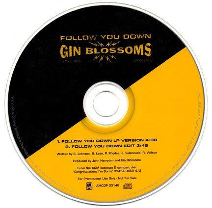 Gin Blossoms : Follow You Down (CD, Single, Promo, Dig)