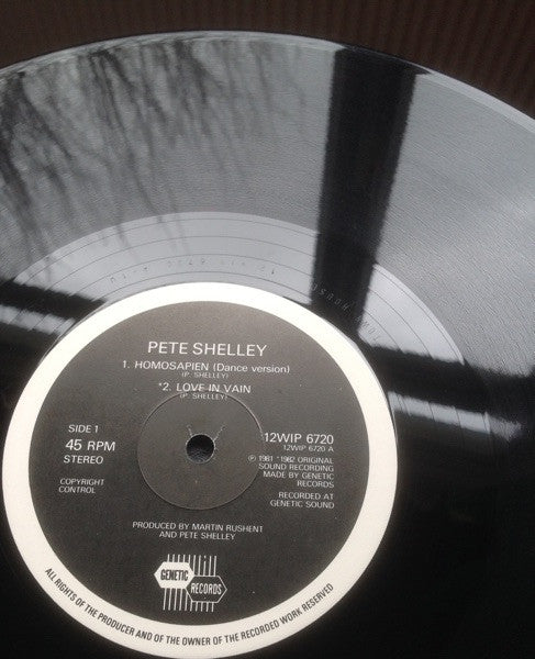 Pete Shelley : Homosapien / Love In Vain (12", Single, M/Print, RE)