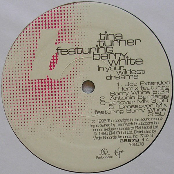 Tina Turner Featuring Barry White : In Your Wildest Dreams (12")