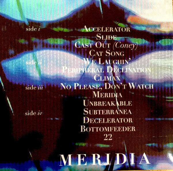 Ellis Ashbrook : Meridia (2xLP)