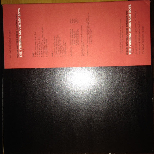 Cullen Galyean, Bobby Harrison (3) & The Virginia Mountain Boys : Volume 4 (LP, Album)