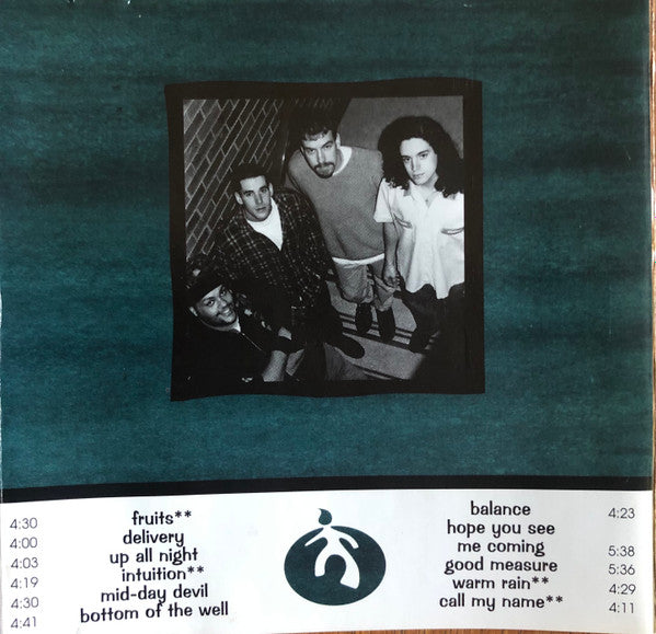 Knee Deep Shag : Intuition (CD, Album)