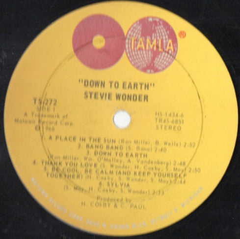 Stevie Wonder : Down To Earth (LP, Album)