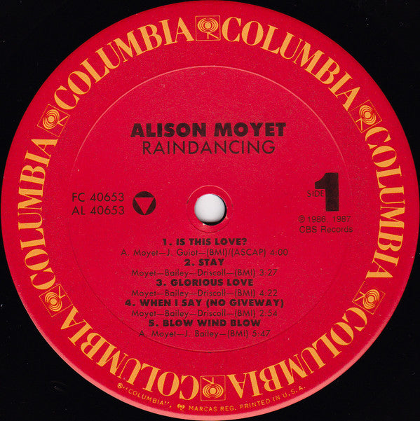 Alison Moyet : Raindancing (LP, Album, Car)
