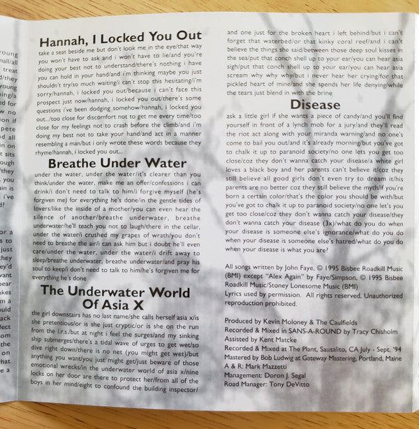 The Caulfields : Whirligig (CD, Album, Promo)