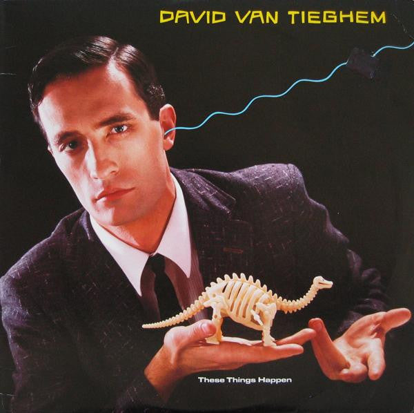 David Van Tieghem : These Things Happen (LP, Album, Win)