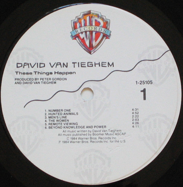 David Van Tieghem : These Things Happen (LP, Album, Win)