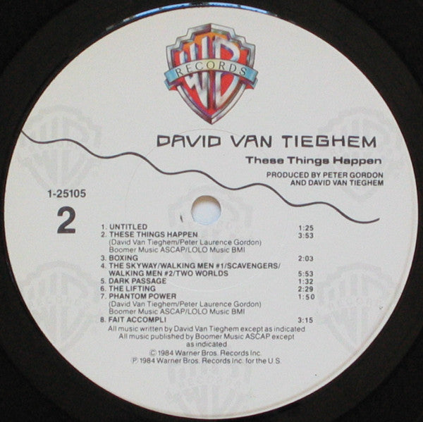 David Van Tieghem : These Things Happen (LP, Album, Win)