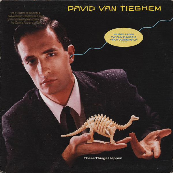 David Van Tieghem : These Things Happen (LP, Album, Win)