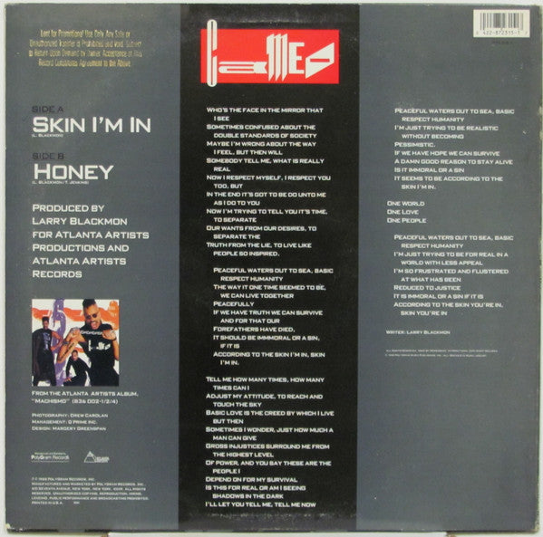 Cameo : Skin I'm In (12", Promo)