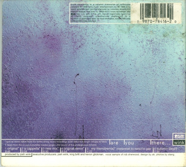 Josh Wink : Are You There... (CD, Maxi)