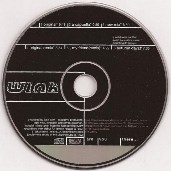 Josh Wink : Are You There... (CD, Maxi)
