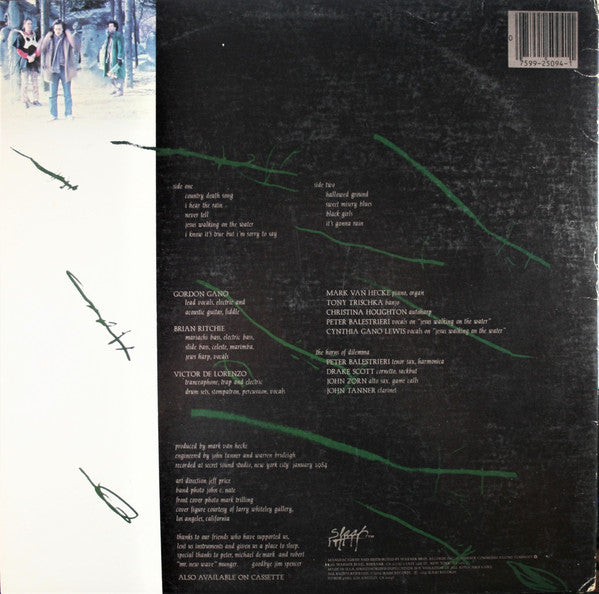 Violent Femmes : Hallowed Ground (LP, Album, Spe)