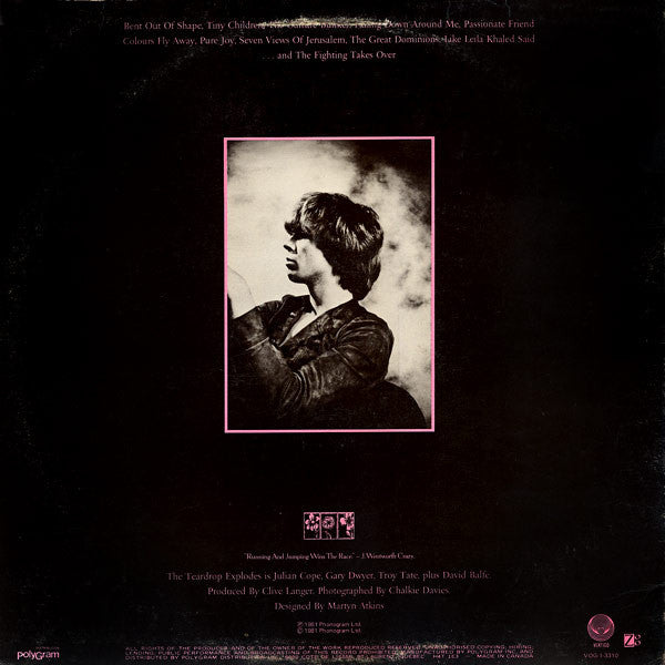 The Teardrop Explodes : Wilder (LP, Album)