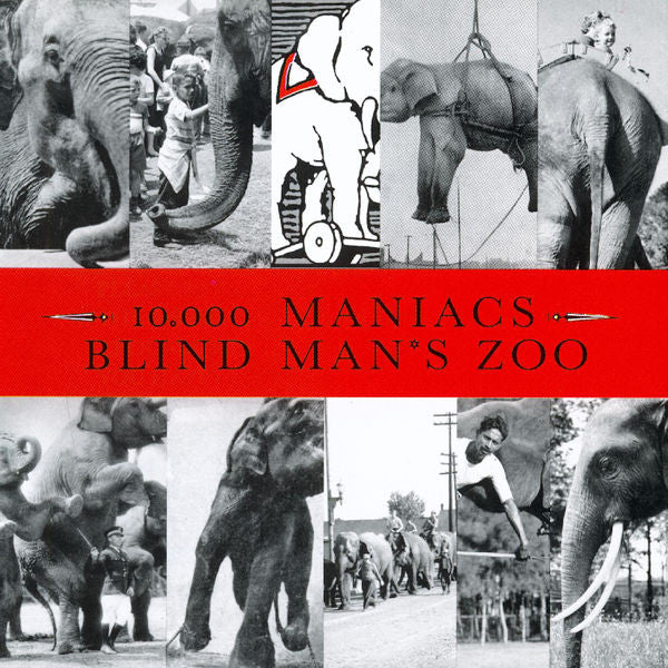 10,000 Maniacs : Blind Man's Zoo (CD, Album)