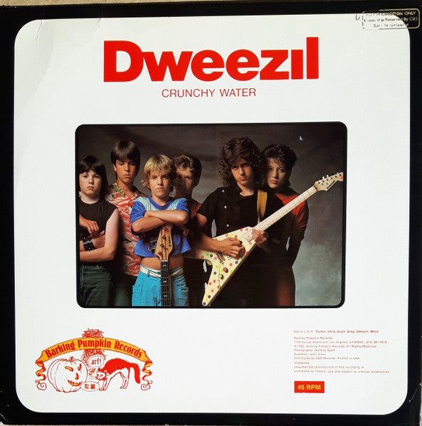Dweezil Zappa : My Mother Is A Space Cadet (12", Promo)