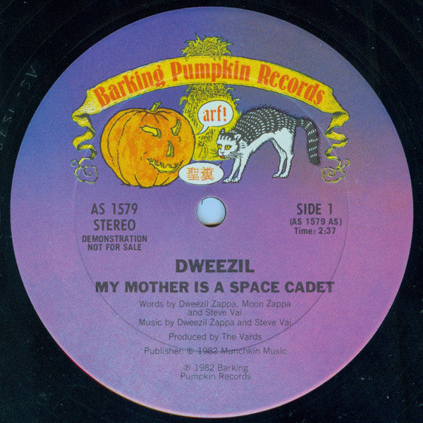 Dweezil Zappa : My Mother Is A Space Cadet (12", Promo)