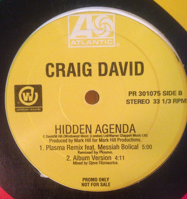 Craig David : Hidden Agenda (Remixes) (12", Promo)