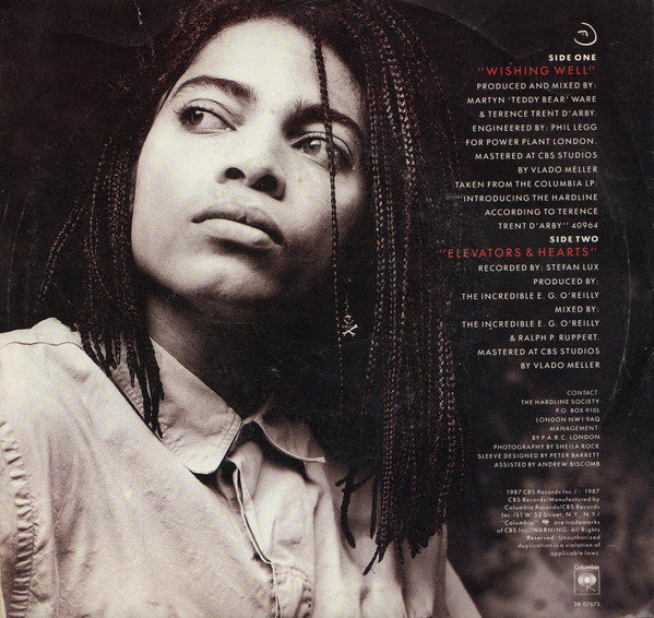 Terence Trent D'Arby : Wishing Well (7", Car)