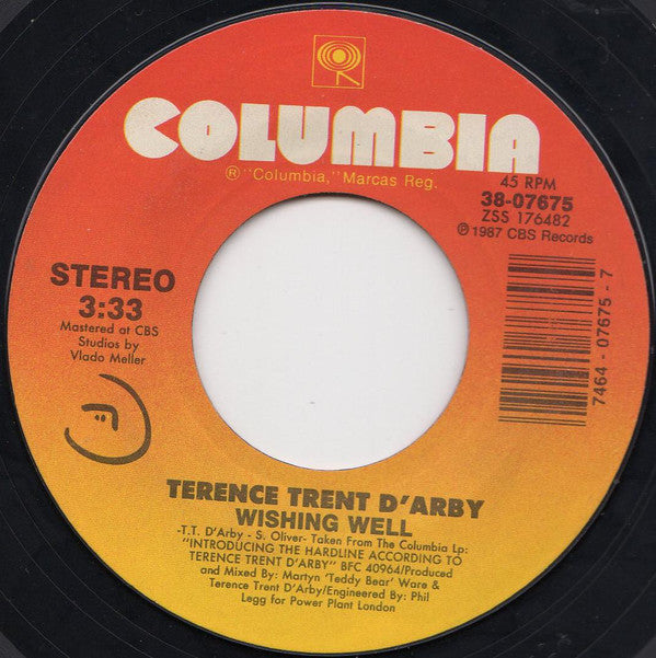 Terence Trent D'Arby : Wishing Well (7", Car)