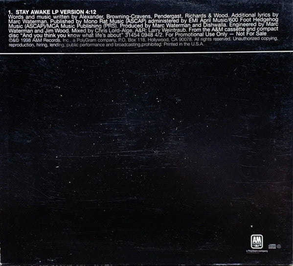 Dishwalla : Stay Awake (CD, Single, Promo)
