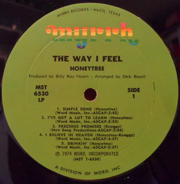 Nancy Honeytree : The Way I Feel (LP, Album, Gre)