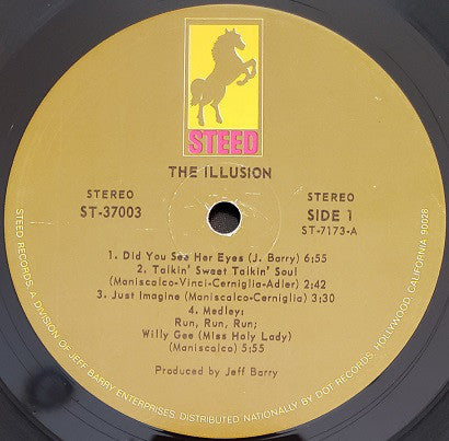 The Illusion : The Illusion (LP, Album, Ind)