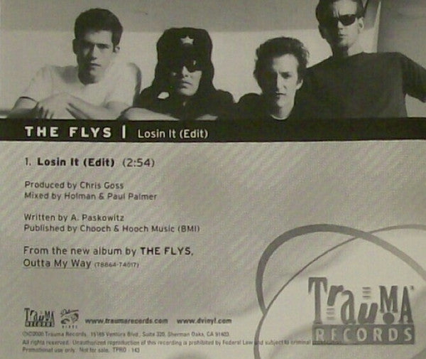 The Flys : Losin It (CD, Single, Promo)