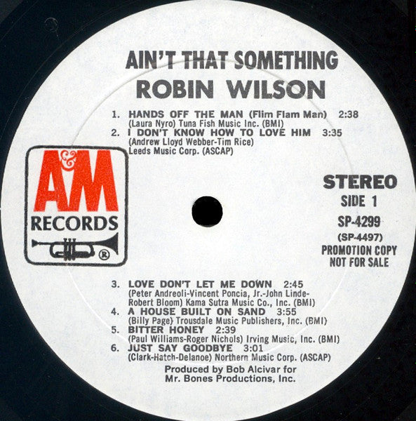 Robin Wilson : Ain't That Something (LP, Album, Promo)