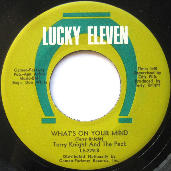 Terry Knight & The Pack : A Change On The Way / What's On Your Mind (7", Single)