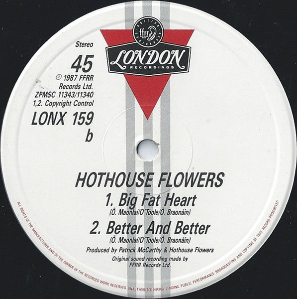 Hothouse Flowers : Don't Go (12")
