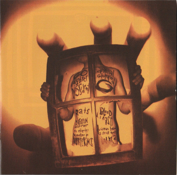 Pearl Jam : Vs. (CD, Album, RP, Son)