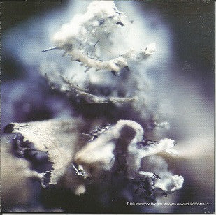 Woven : 8 Bit Monk (CD, Album, Enh)