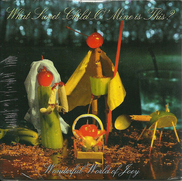 Wonderful World Of Joey : What Sweet Child O' Mine Is This? (CD, Single)
