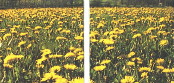 Jale : So Wound (CD, Album, Gat)