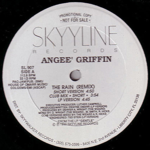 Angee Griffin : The Rain (Remix) (12", Promo)